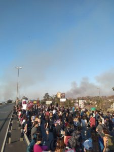 Ambientalistas cortan el puente Rosario-Victoria para reclamar contra las quemas en las islas