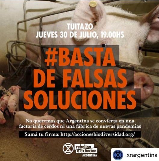 Basta de falsas soluciones