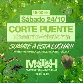 Corte puente Rosario-Victoria