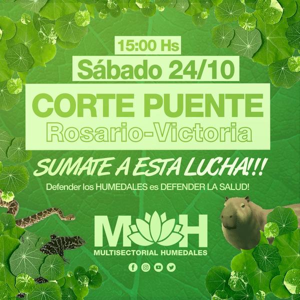 Corte puente Rosario-Victoria