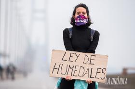 Se realizó una caravana desde el Monumento hacia el corte a la altura del puente Rosario-Victoria, en reclamo de la Ley de Humedales que termine con el ecocidio en las islas del Paraná.