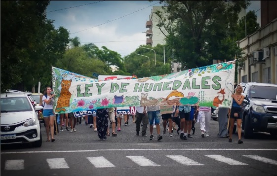 Manifestación por las calles de la ciudad bajo la bandaera Ley de Humedales