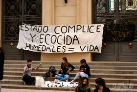 En el marco de los catorce días de aislamiento social y obligatorio a causa del retroceso de fase, la lucha en favor de una ley de humedales que regule el ecocidio que se lleva adelante en las islas del Paraná sigue en pié.
