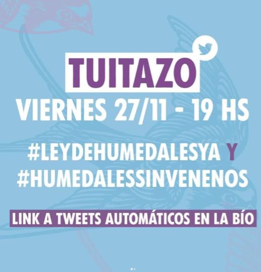 Tuitazo por los humedades