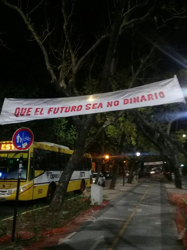 Pasacalle "qué el futuro sea no binario"